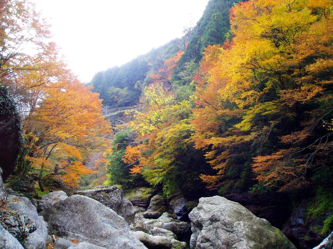Nature Resort In Niyodo Niyodogawa Kültér fotó