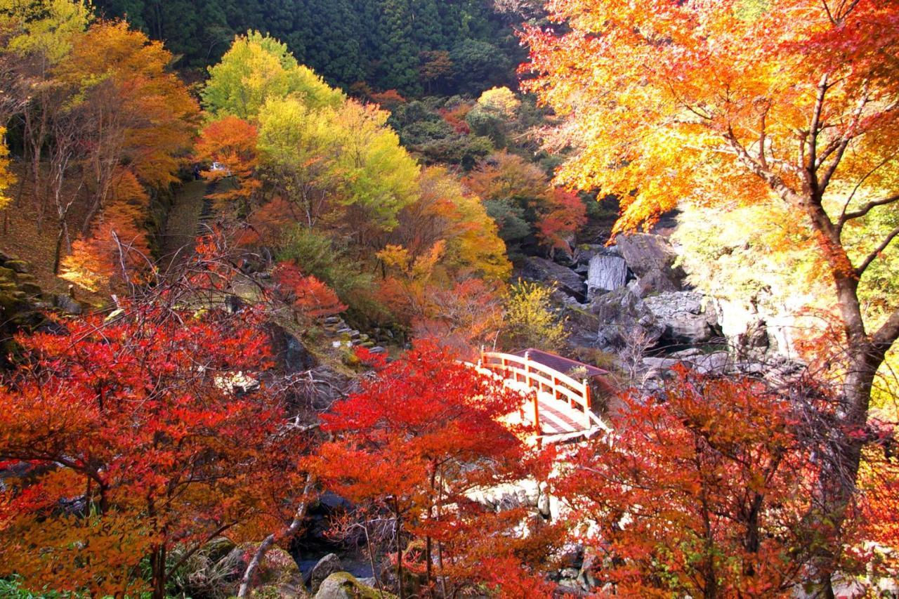 Nature Resort In Niyodo Niyodogawa Kültér fotó