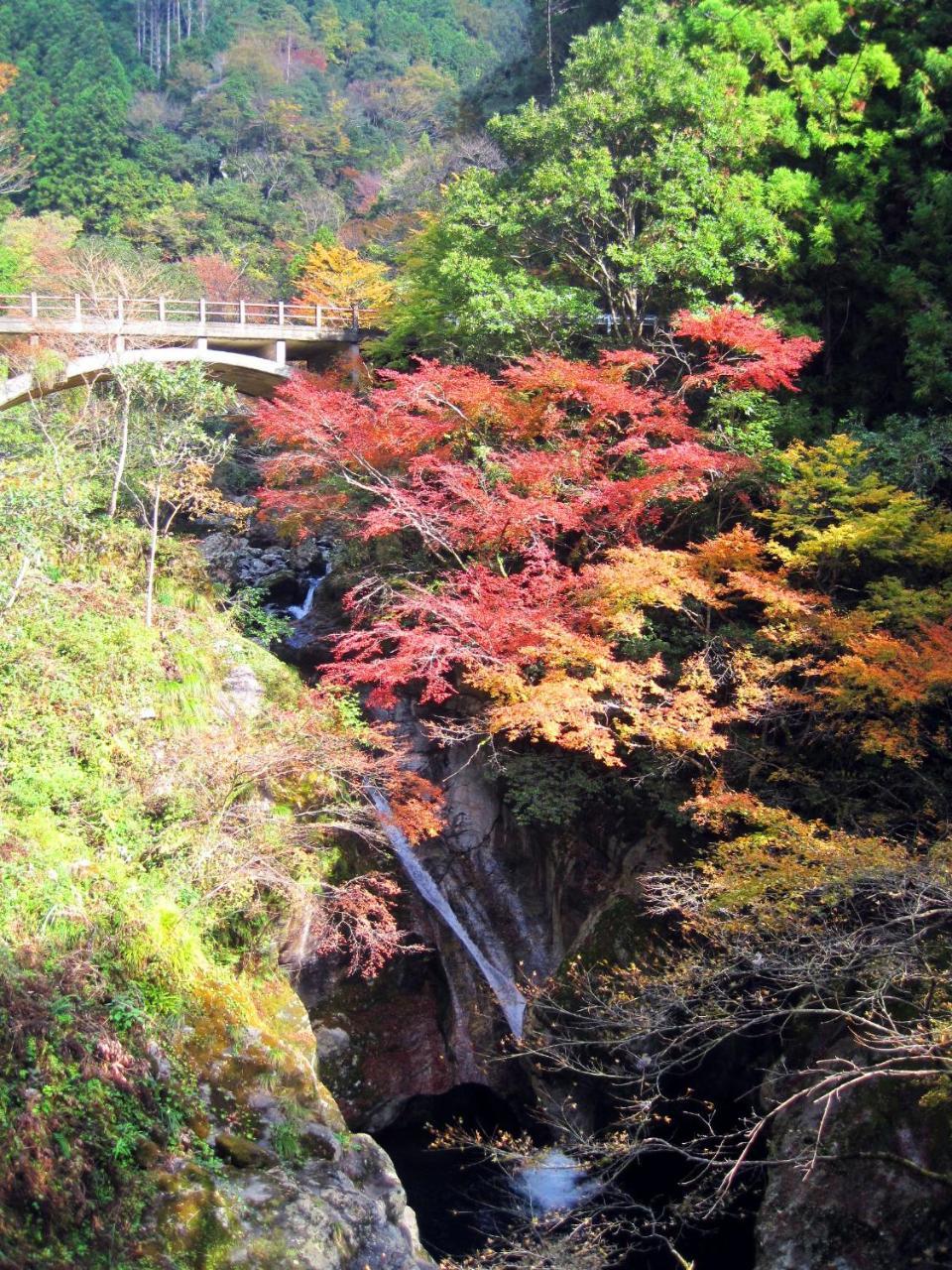 Nature Resort In Niyodo Niyodogawa Kültér fotó